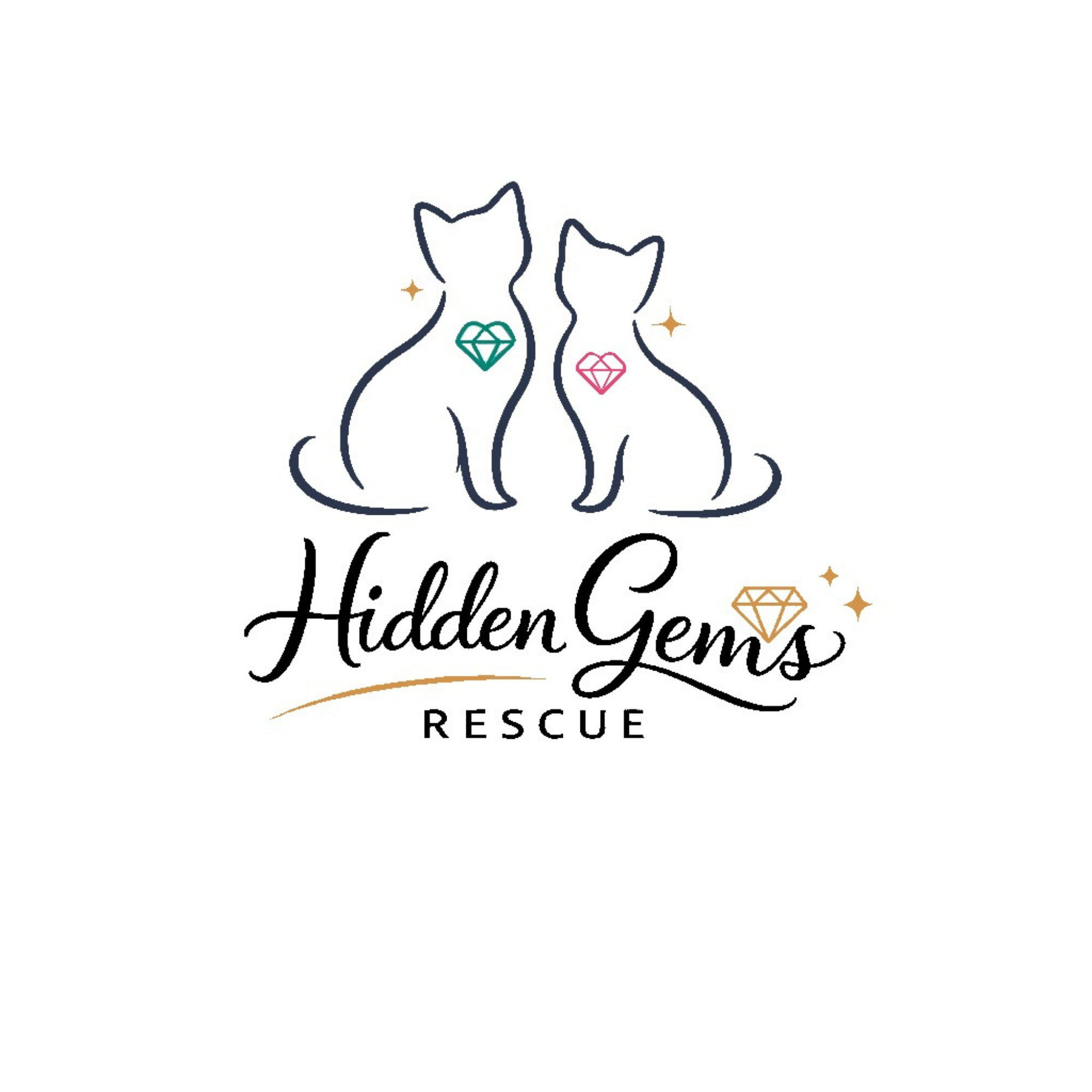 Hidden Gems Rescue logo